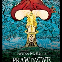 terence_mckenna___prawdziwe_halucynacje_by_waldekborowski-d5izmtr.jpg